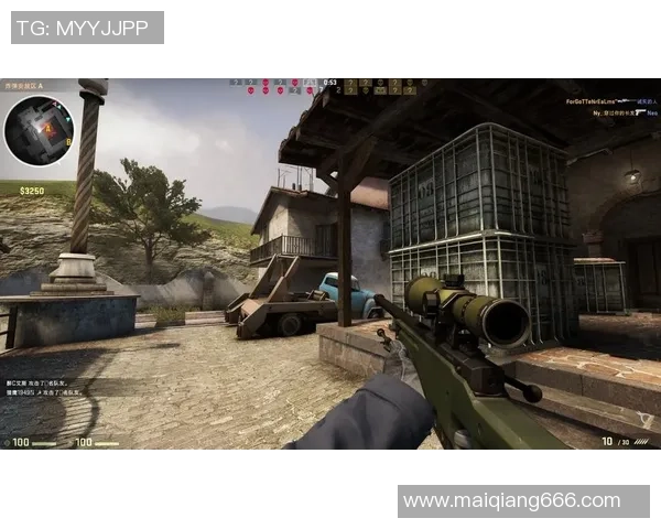 CS_GO焦点：BLG的耐力探讨